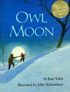 OwlMoon