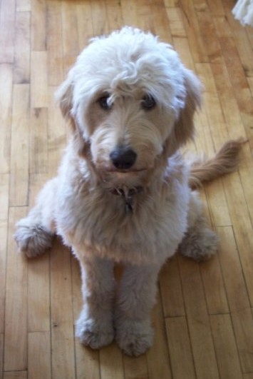 227229_10910203268_3508_n