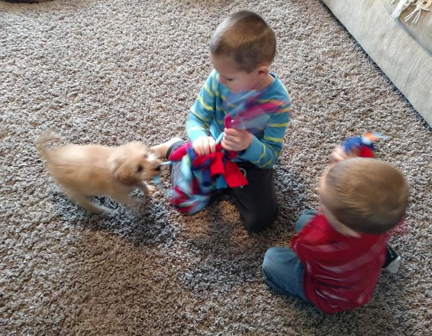 12810124_1085528051468880_403023328_o